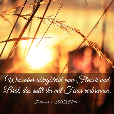 Picture 03 - Levitikus 8:32 LUTH1912 - Was aber übrigbleibt vom Fleisch und Brot, das - Bible Verse Picture