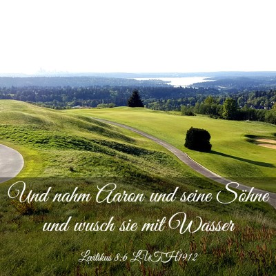 Picture 03 - Levitikus 8:6 LUTH1912 - Und nahm Aaron und seine Söhne und wusch sie mit - Bible Verse Picture