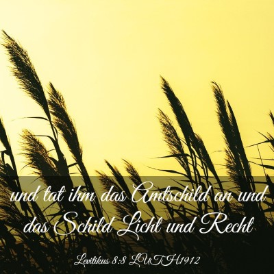 Picture 03 - Levitikus 8:8 LUTH1912 - und tat ihm das Amtschild an und das Schild Licht - Bible Verse Picture