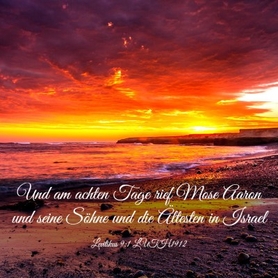 Picture 03 - Levitikus 9:1 LUTH1912 - Und am achten Tage rief Mose Aaron und seine - Bible Verse Picture