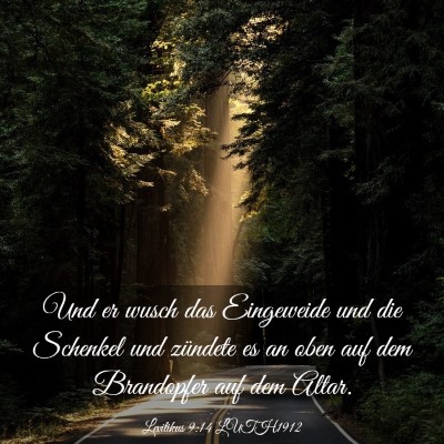 Picture 03 - Levitikus 9:14 LUTH1912 - Und er wusch das Eingeweide und die Schenkel und - Bible Verse Picture