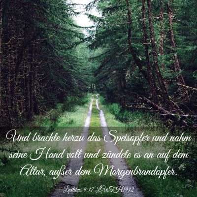 Picture 03 - Levitikus 9:17 LUTH1912 - Und brachte herzu das Speisopfer und nahm seine - Bible Verse Picture