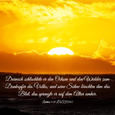 Picture 03 - Levitikus 9:18 LUTH1912 - Darnach schlachtete er den Ochsen und den Widder - Bible Verse Picture