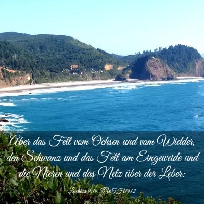 Picture 03 - Levitikus 9:19 LUTH1912 - Aber das Fett vom Ochsen und vom Widder, den - Bible Verse Picture