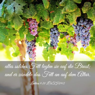 Picture 03 - Levitikus 9:20 LUTH1912 - alles solches Fett legten sie auf die Brust; und - Bible Verse Picture