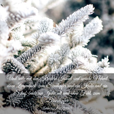 Picture 03 - Levitikus 9:3 LUTH1912 - Und rede mit den Kindern Israel und sprich: Nehmt - Bible Verse Picture
