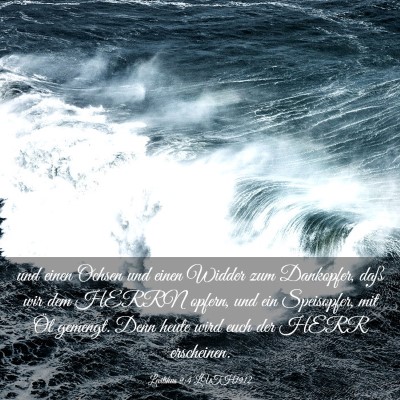 Picture 03 - Levitikus 9:4 LUTH1912 - und einen Ochsen und einen Widder zum Dankopfer, - Bible Verse Picture