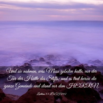 Picture 03 - Levitikus 9:5 LUTH1912 - Und sie nahmen, was Mose geboten hatte, vor der - Bible Verse Picture