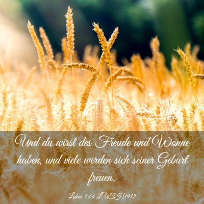Picture 03 - Lukas 1:14 LUTH1912 - Und du wirst des Freude und Wonne haben, und - Bible Verse Picture