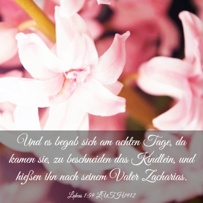 Picture 03 - Lukas 1:59 LUTH1912 - Und es begab sich am achten Tage, da kamen sie, - Bible Verse Picture