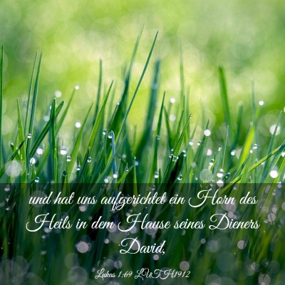 Picture 03 - Lukas 1:69 LUTH1912 - und hat uns aufgerichtet ein Horn des Heils in - Bible Verse Picture