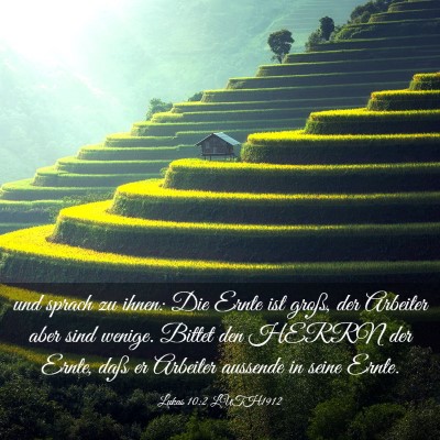 Picture 03 - Lukas 10:2 LUTH1912 - und sprach zu ihnen: Die Ernte ist groß, der - Bible Verse Picture