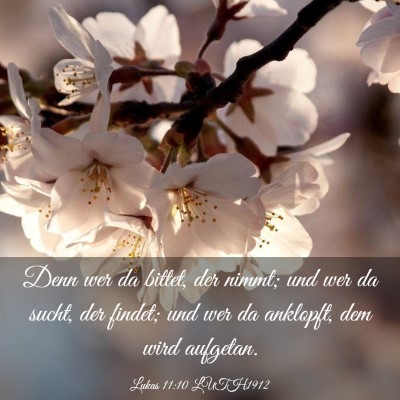 Picture 03 - Lukas 11:10 LUTH1912 - Denn wer da bittet, der nimmt; und wer da sucht, - Bible Verse Picture