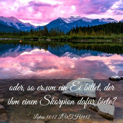 Picture 03 - Lukas 11:12 LUTH1912 - oder, so er um ein Ei bittet, der ihm einen - Bible Verse Picture