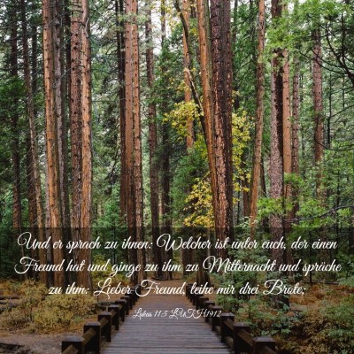 Picture 03 - Lukas 11:5 LUTH1912 - Und er sprach zu ihnen: Welcher ist unter euch, - Bible Verse Picture