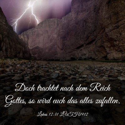 Picture 03 - Lukas 12:31 LUTH1912 - Doch trachtet nach dem Reich Gottes, so wird euch - Bible Verse Picture