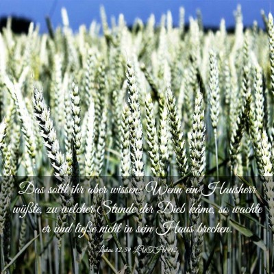 Picture 03 - Lukas 12:39 LUTH1912 - Das sollt ihr aber wissen: Wenn ein Hausherr - Bible Verse Picture