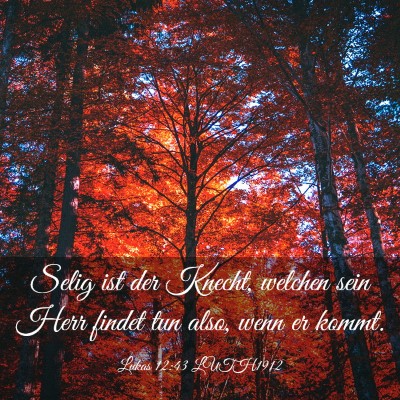 Picture 03 - Lukas 12:43 LUTH1912 - Selig ist der Knecht, welchen sein Herr findet - Bible Verse Picture