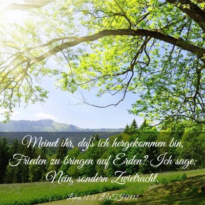 Picture 03 - Lukas 12:51 LUTH1912 - Meinet ihr, daß ich hergekommen bin, Frieden zu - Bible Verse Picture