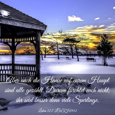 Picture 03 - Lukas 12:7 LUTH1912 - Aber auch die Haare auf eurem Haupt sind alle - Bible Verse Picture