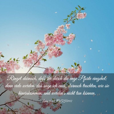 Picture 03 - Lukas 13:24 LUTH1912 - Ringet darnach, daß ihr durch die enge Pforte - Bible Verse Picture