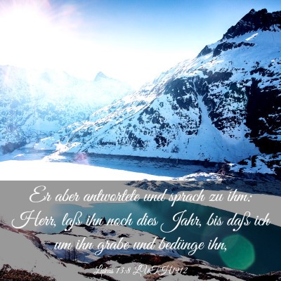 Picture 03 - Lukas 13:8 LUTH1912 - Er aber antwortete und sprach zu ihm: Herr, laß - Bible Verse Picture