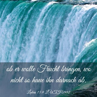 Picture 03 - Lukas 13:9 LUTH1912 - ob er wolle Frucht bringen, wo nicht so haue ihn - Bible Verse Picture