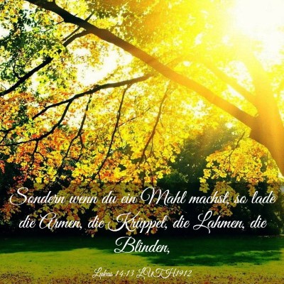 Picture 03 - Lukas 14:13 LUTH1912 - Sondern wenn du ein Mahl machst, so lade die - Bible Verse Picture