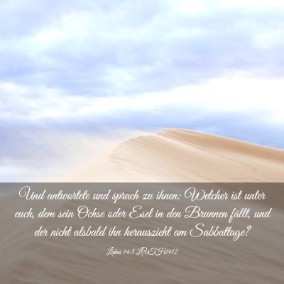 Picture 03 - Lukas 14:5 LUTH1912 - Und antwortete und sprach zu ihnen: Welcher ist - Bible Verse Picture