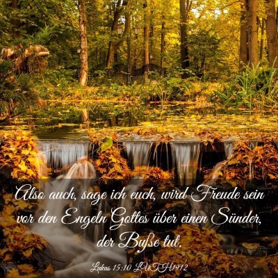 Picture 03 - Lukas 15:10 LUTH1912 - Also auch, sage ich euch, wird Freude sein vor - Bible Verse Picture