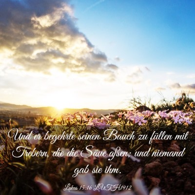 Picture 03 - Lukas 15:16 LUTH1912 - Und er begehrte seinen Bauch zu füllen mit - Bible Verse Picture