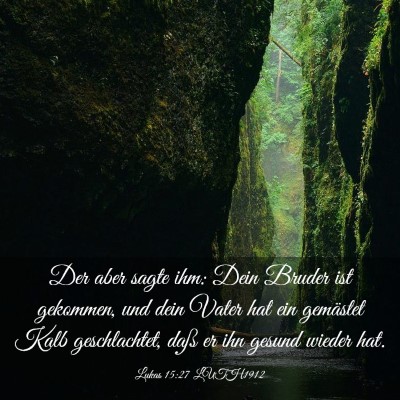 Picture 03 - Lukas 15:27 LUTH1912 - Der aber sagte ihm: Dein Bruder ist gekommen, und - Bible Verse Picture