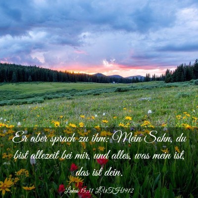 Picture 03 - Lukas 15:31 LUTH1912 - Er aber sprach zu ihm: Mein Sohn, du bist - Bible Verse Picture