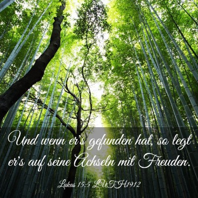 Picture 03 - Lukas 15:5 LUTH1912 - Und wenn er's gefunden hat, so legt er's auf - Bible Verse Picture