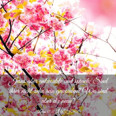 Picture 03 - Lukas 17:17 LUTH1912 - Jesus aber antwortete und sprach: Sind ihrer - Bible Verse Picture