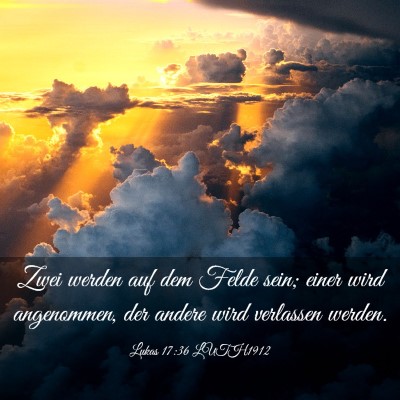 Picture 03 - Lukas 17:36 LUTH1912 - Zwei werden auf dem Felde sein; einer wird - Bible Verse Picture