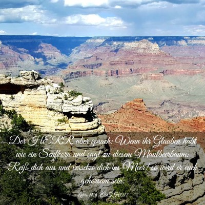 Picture 03 - Lukas 17:6 LUTH1912 - Der HERR aber sprach: Wenn ihr Glauben habt wie - Bible Verse Picture