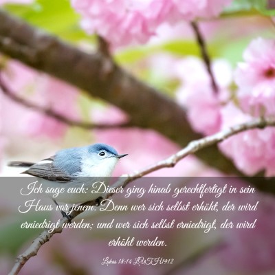 Picture 03 - Lukas 18:14 LUTH1912 - Ich sage euch: Dieser ging hinab gerechtfertigt - Bible Verse Picture