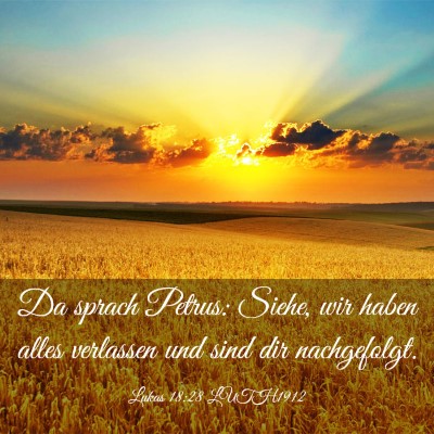 Picture 03 - Lukas 18:28 LUTH1912 - Da sprach Petrus: Siehe, wir haben alles - Bible Verse Picture