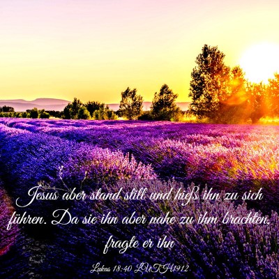 Picture 03 - Lukas 18:40 LUTH1912 - Jesus aber stand still und hieß ihn zu sich - Bible Verse Picture