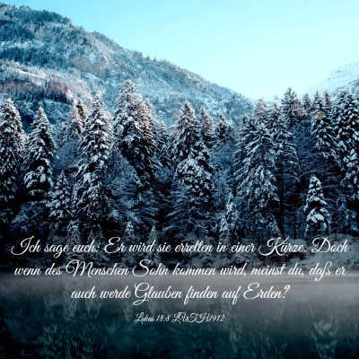 Picture 03 - Lukas 18:8 LUTH1912 - Ich sage euch: Er wird sie erretten in einer - Bible Verse Picture