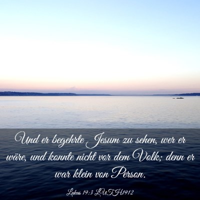 Picture 03 - Lukas 19:3 LUTH1912 - Und er begehrte Jesum zu sehen, wer er wäre, und - Bible Verse Picture