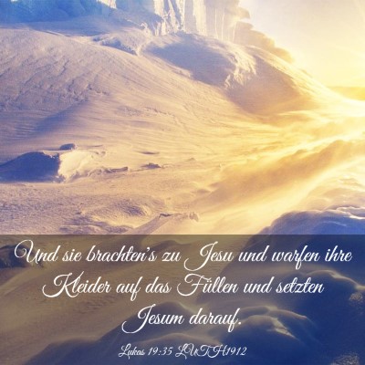 Picture 03 - Lukas 19:35 LUTH1912 - Und sie brachten's zu Jesu und warfen ihre - Bible Verse Picture