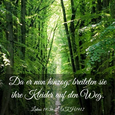 Picture 03 - Lukas 19:36 LUTH1912 - Da er nun hinzog, breiteten sie ihre Kleider auf - Bible Verse Picture