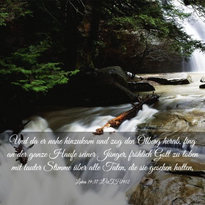 Picture 03 - Lukas 19:37 LUTH1912 - Und da er nahe hinzukam und zog den Ölberg - Bible Verse Picture