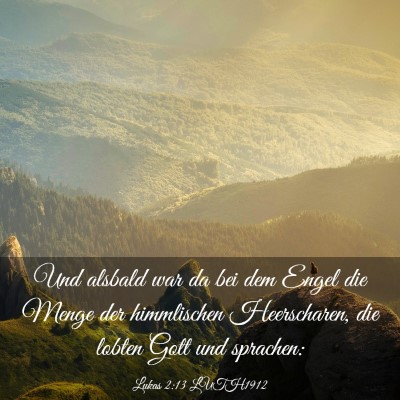 Picture 03 - Lukas 2:13 LUTH1912 - Und alsbald war da bei dem Engel die Menge der - Bible Verse Picture