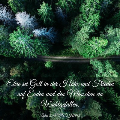 Picture 03 - Lukas 2:14 LUTH1912 - Ehre sei Gott in der Höhe und Frieden auf Erden - Bible Verse Picture