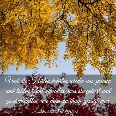 Picture 03 - Lukas 2:20 LUTH1912 - Und die Hirten kehrten wieder um, priesen und - Bible Verse Picture