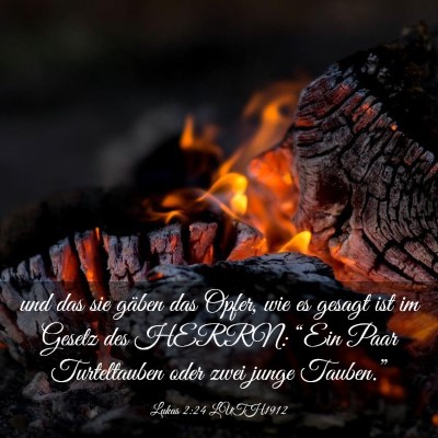 Picture 03 - Lukas 2:24 LUTH1912 - und das sie gäben das Opfer, wie es gesagt ist - Bible Verse Picture