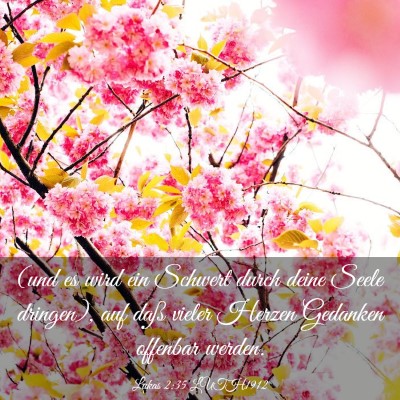 Picture 03 - Lukas 2:35 LUTH1912 - (und es wird ein Schwert durch deine Seele - Bible Verse Picture